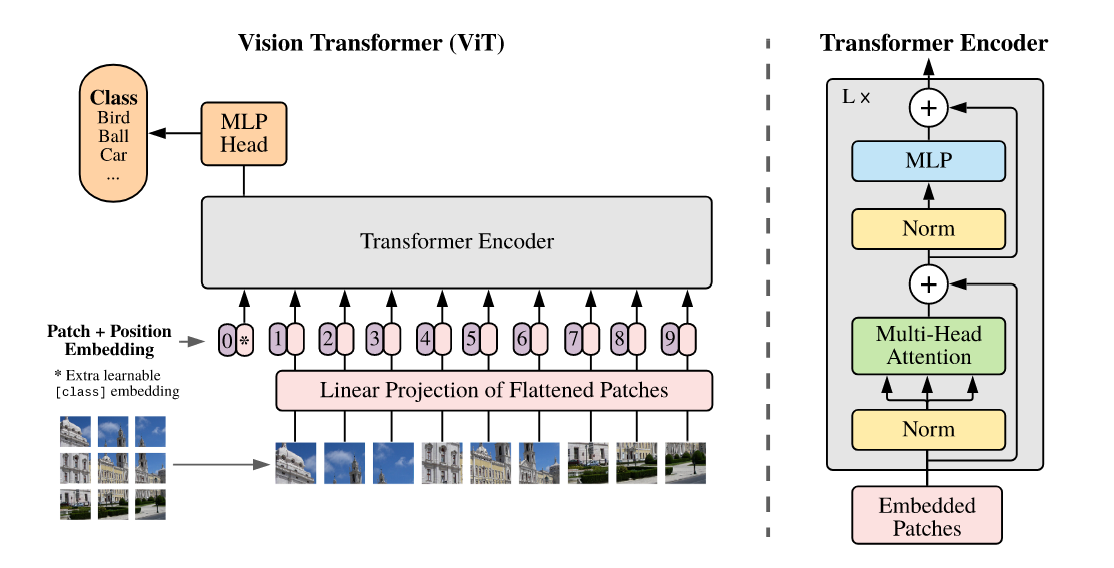 ViT(Vision Transformer)笔记